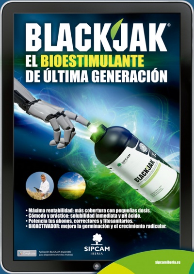 SIPCAM. BLACKJAK