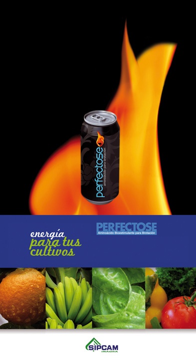 SIPCAM. PERFECTOSE