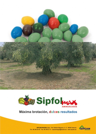 Sipfol Max