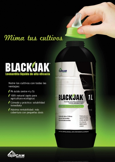 SIPCAM. BLACKJAK